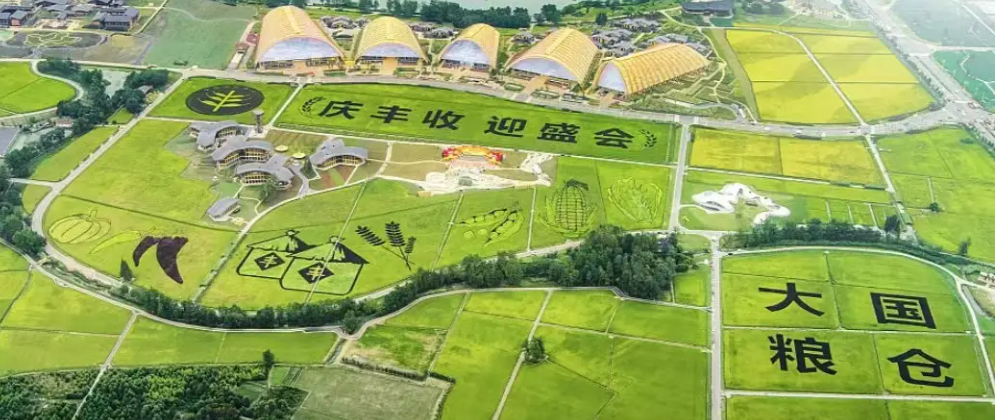 第五个中国农民丰收节|韦德官方网携农产品品质成分低场核磁快速分析仪 亮相天府农博园